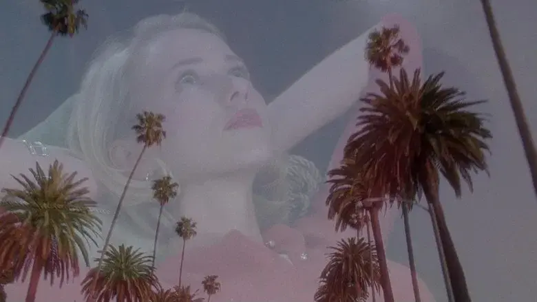 Mulholland Drive - Fondo