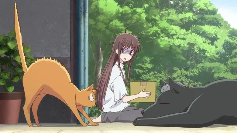¡Todos son animales!