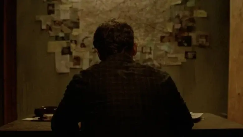 The Collected - Fondo