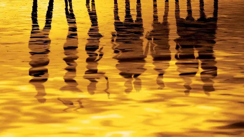 Pequeñas mentiras sin importancia - Fondo