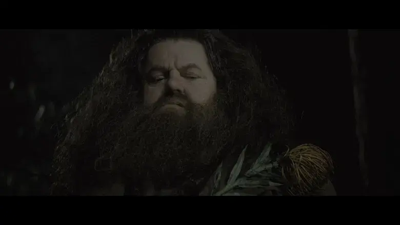 Harry Potter y el cáliz de fuego - Fondo