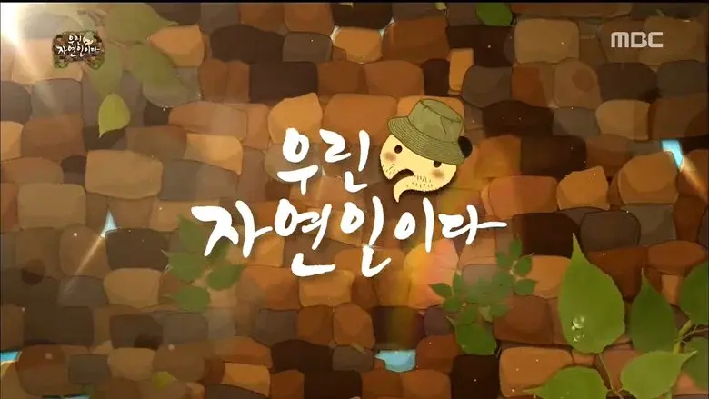 Episodio 503