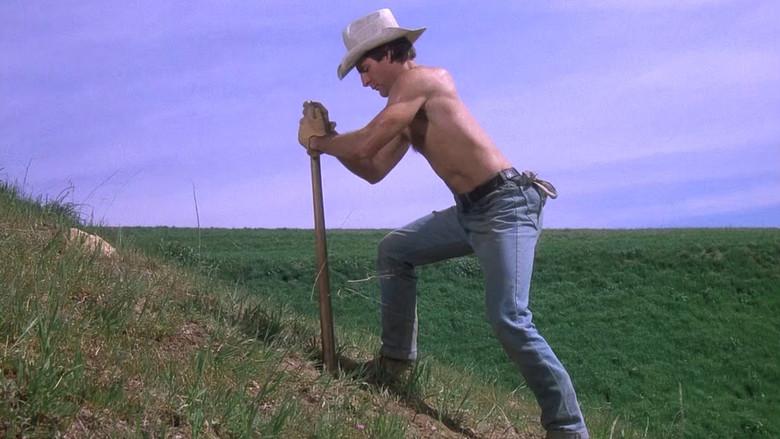 La conquista de Tess