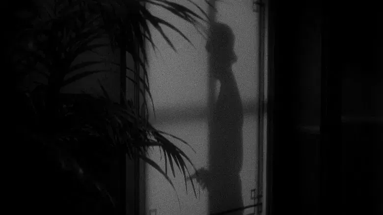 Scarface, el terror del Hampa - Fondo