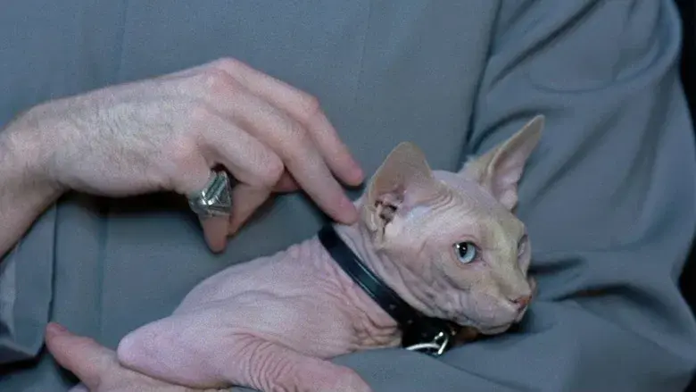 Austin Powers: Misterioso agente internacional - Fondo