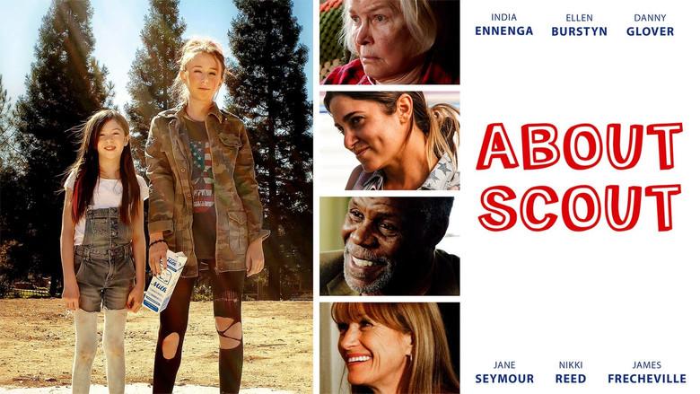 About Scout - Fondo