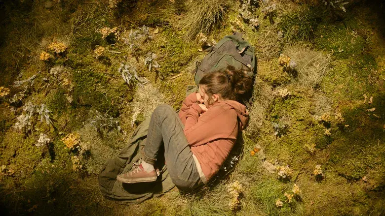 The Last of Us - Fondo