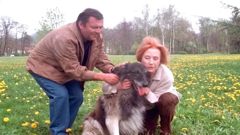 Hoffnung für Julia - Fondo
