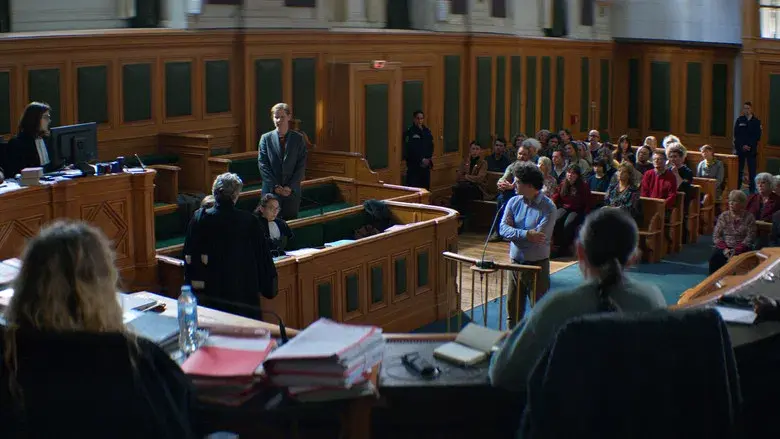 Anatomía de una caída - Fondo