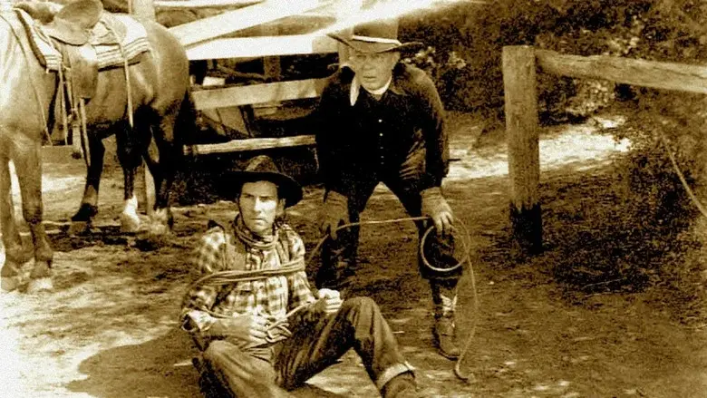 Westward Bound - Fondo