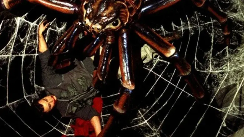 Spiders - Fondo