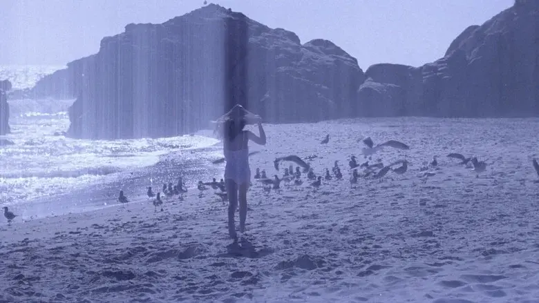 El halcón inglés - Fondo