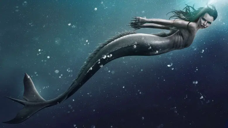 Siren - Fondo