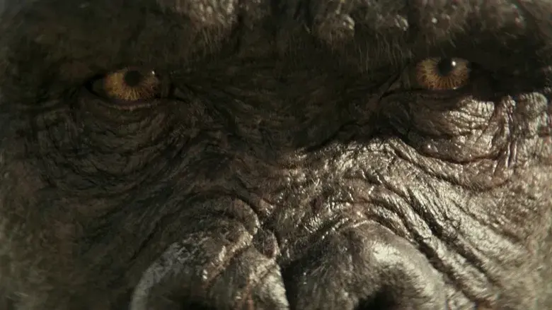 Godzilla y Kong: El nuevo imperio - Fondo