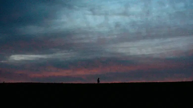 The Human Hibernation - Fondo