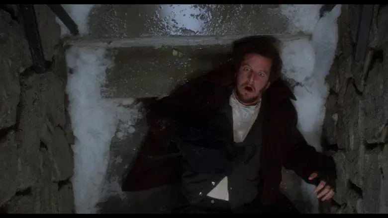 Solo en casa - Fondo