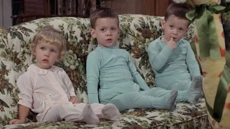 Gemelos por accidente