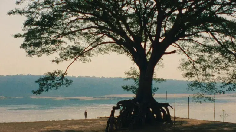 Un fantasma útil - Fondo