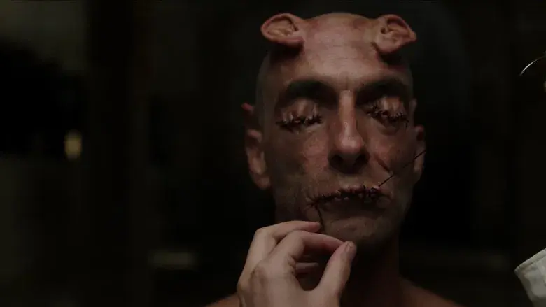 Crímenes del futuro - Fondo