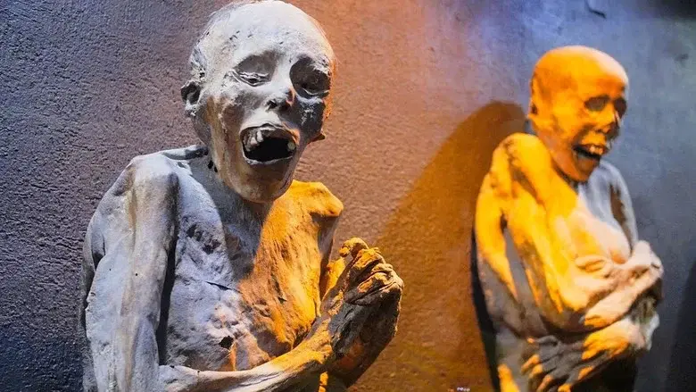 Las momias de Guanajuato - Fondo