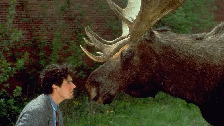 Doctor en Alaska - Fondo