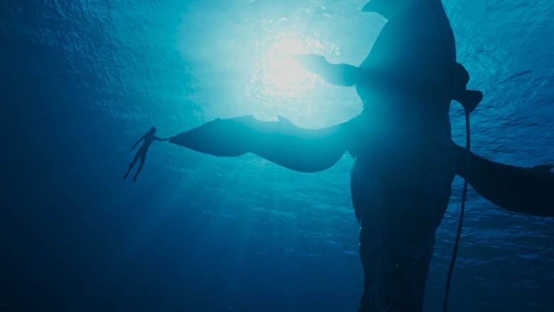 Avatar: El sentido del agua - Fondo