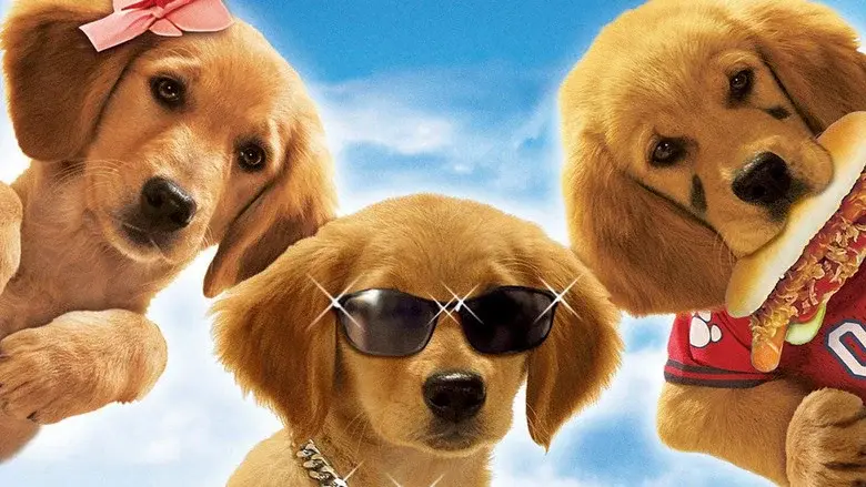 Air Buddies - Fondo