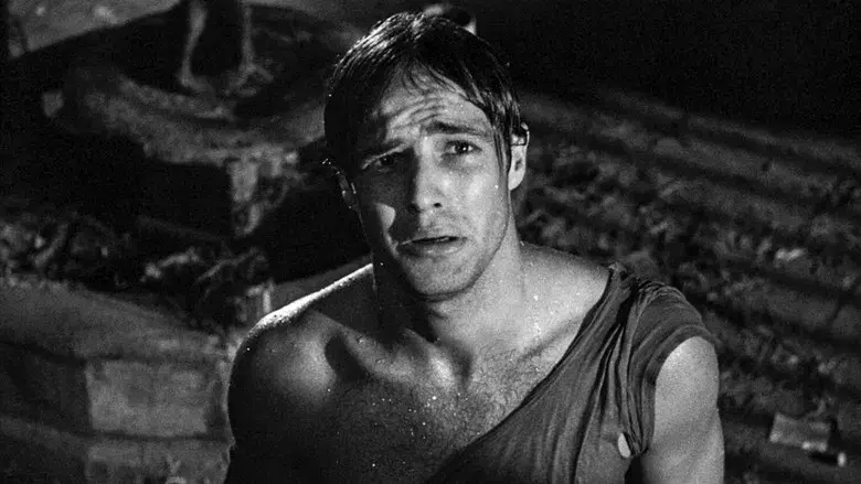 Un tranvía llamado deseo - Fondo