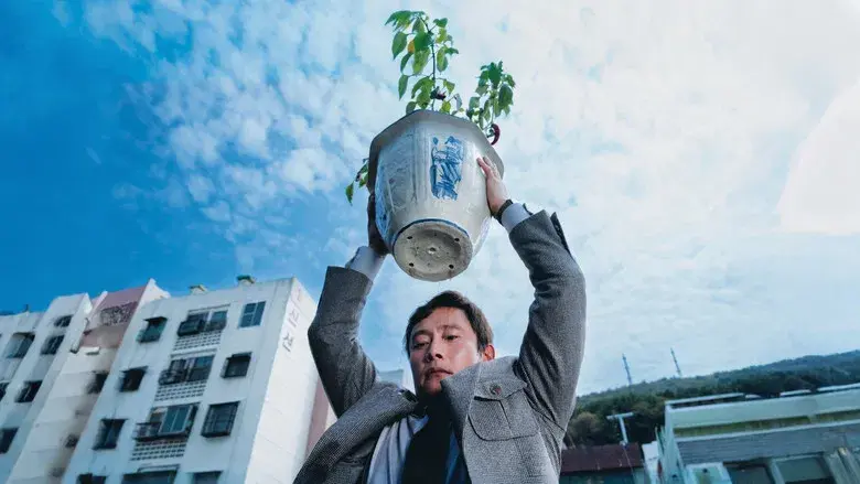 No hay otra opción - Fondo