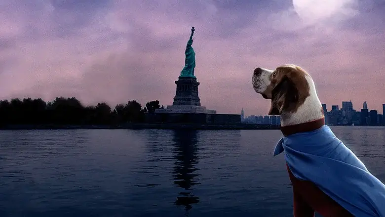 Superdog - Fondo