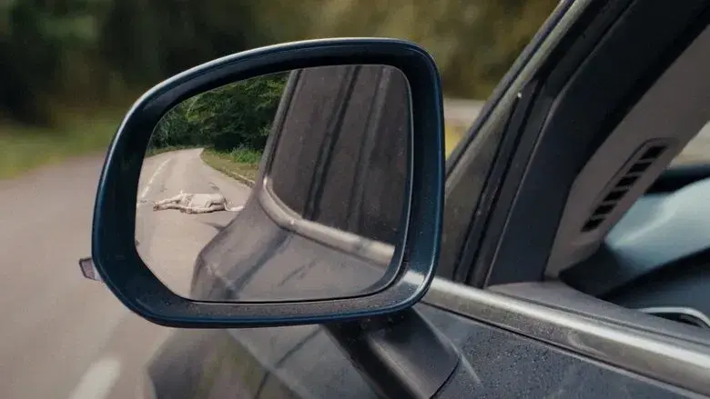 La muerte del unicornio - Fondo