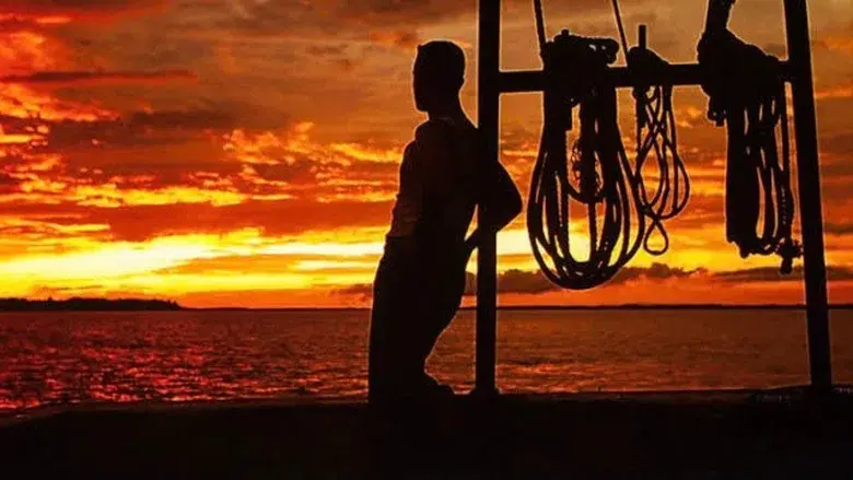 Forrest Gump - Fondo