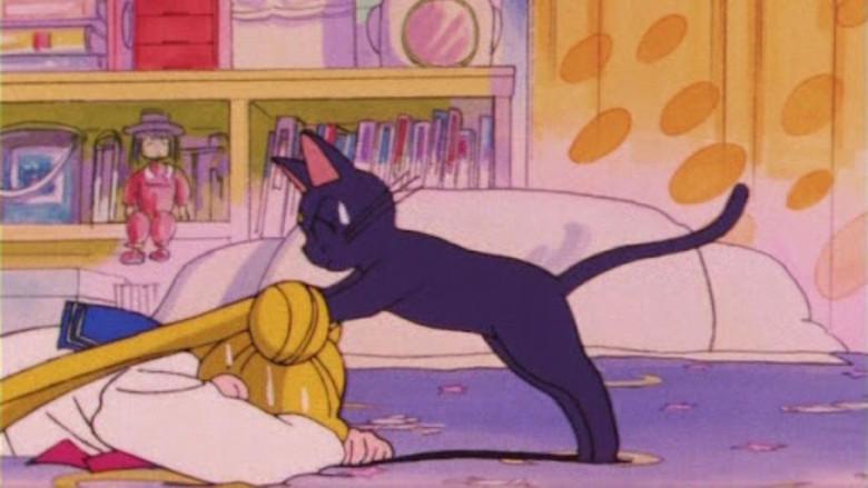 Sailor Moon - Backdrop