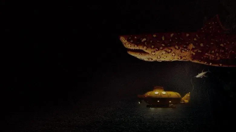 Life Aquatic - Fondo