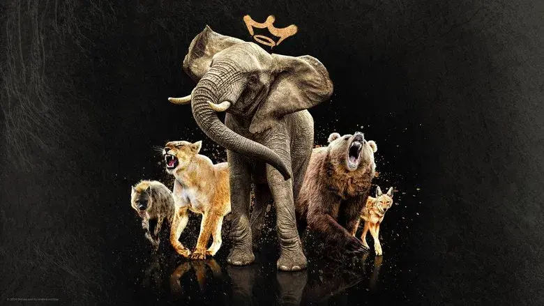 Reinas del mundo salvaje - Fondo