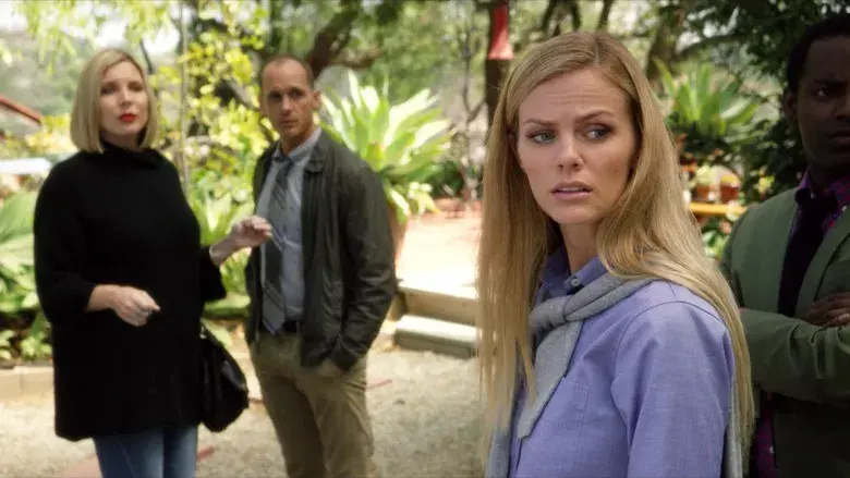 Las tarjetas de crédito