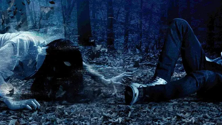 Sadako DX - Fondo