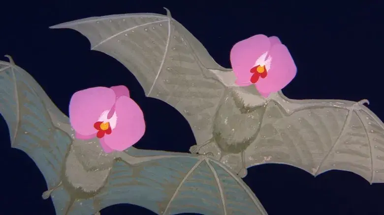 Hana-Bi: Flores de fuego - Fondo