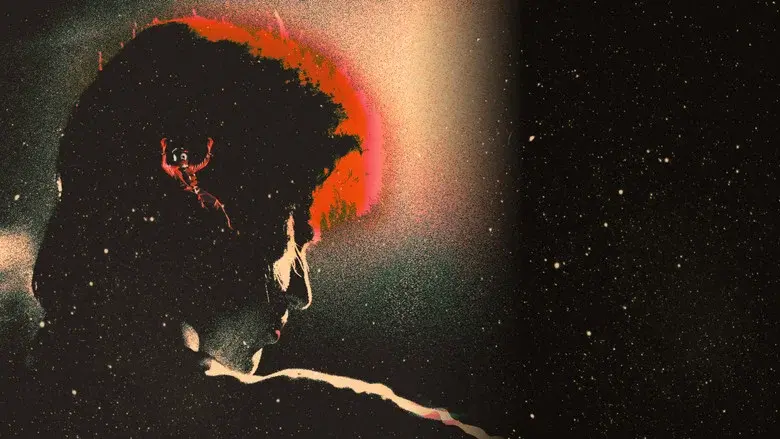 Stardust - Fondo