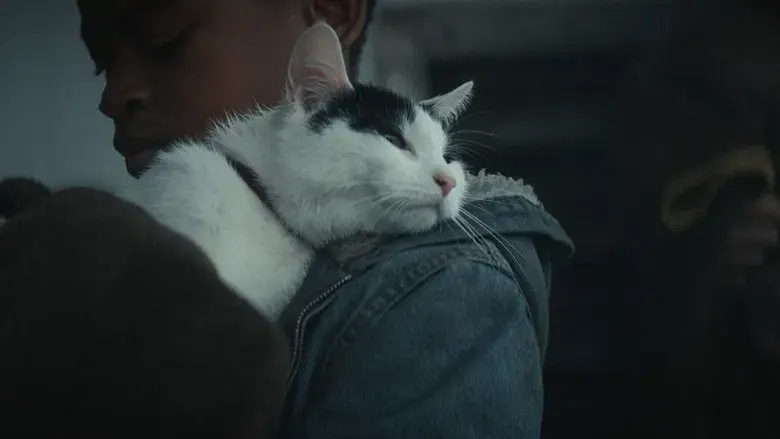 Un lugar tranquilo: Día uno - Fondo