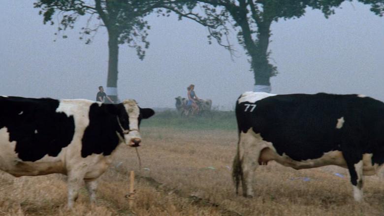 Conspiración de mujeres - Fondo