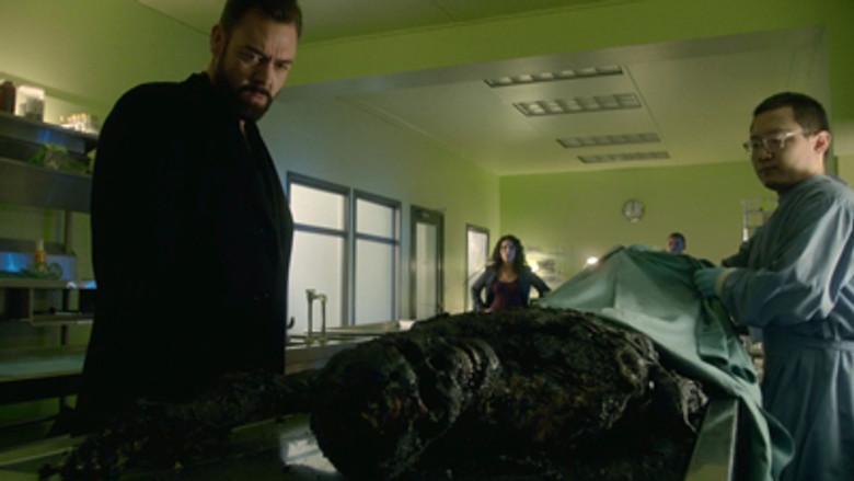 Episodio 8