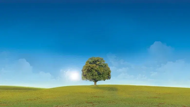 Who Do You Think You Are? - Fondo