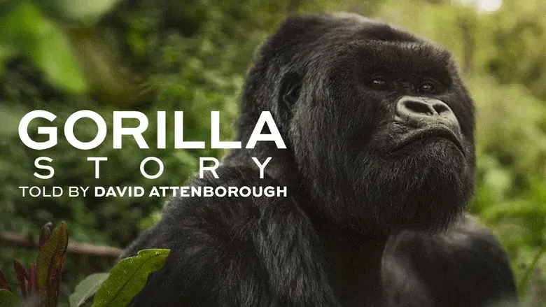 Una historia de gorilas contada por David Attenborough - Fondo