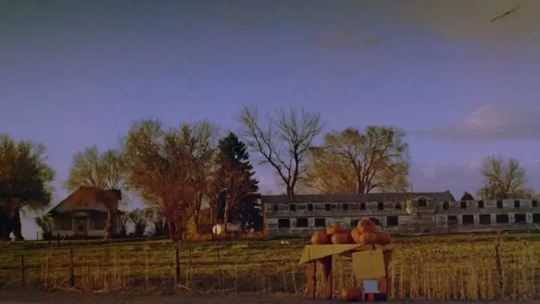 Halloween 4: El regreso de Michael Myers - Fondo