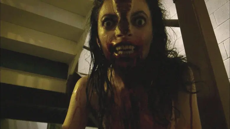 V/H/S - Fondo