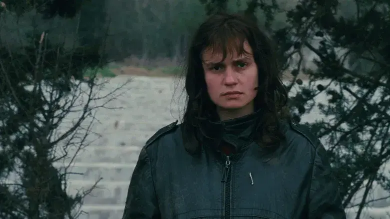 Sin techo ni ley - Fondo