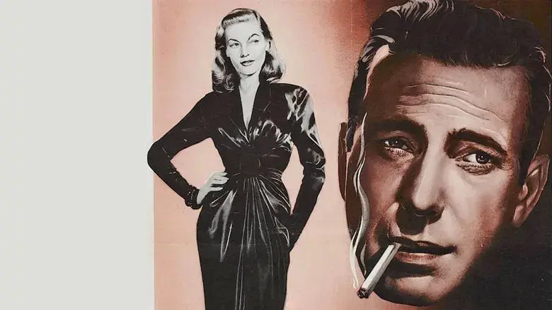 Tener y no tener - Fondo