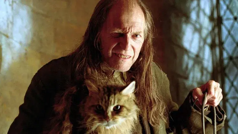 Harry Potter y el cáliz de fuego - Fondo