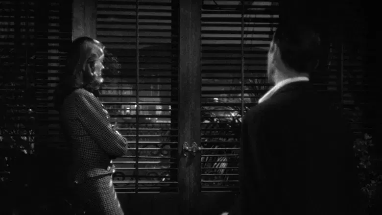 Tener y no tener - Fondo